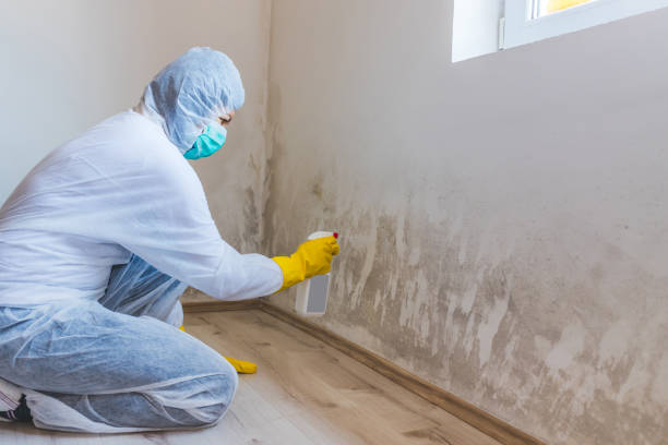 Commercial Mold Remediation assessment for commercial property in Stantonsburg