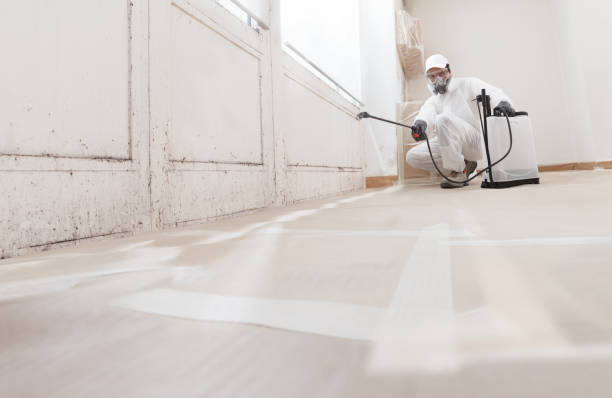 Black mold remediation team in Stantonsburg